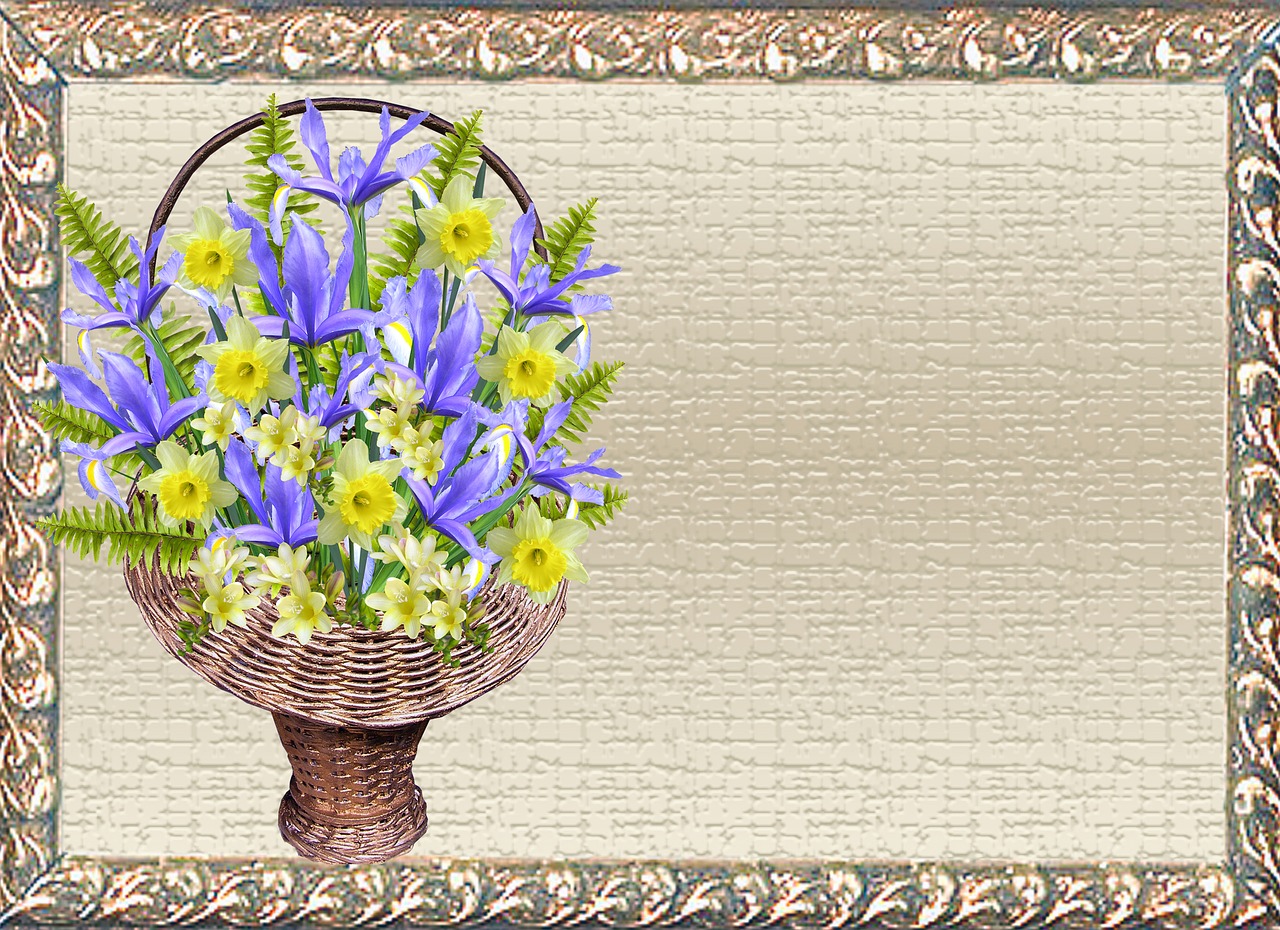 greeting card iris daffodil free photo