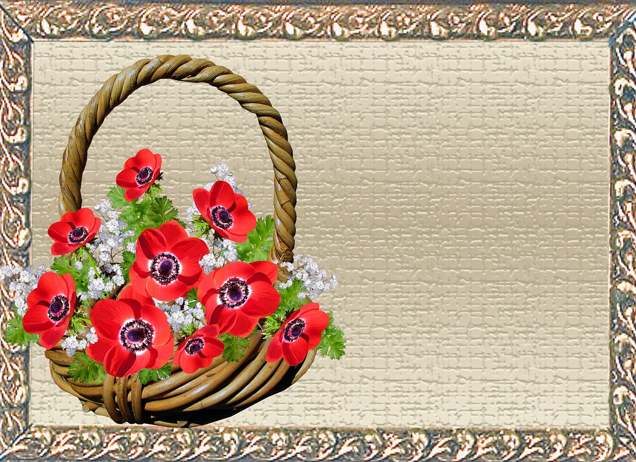 greeting card anemone basket free photo