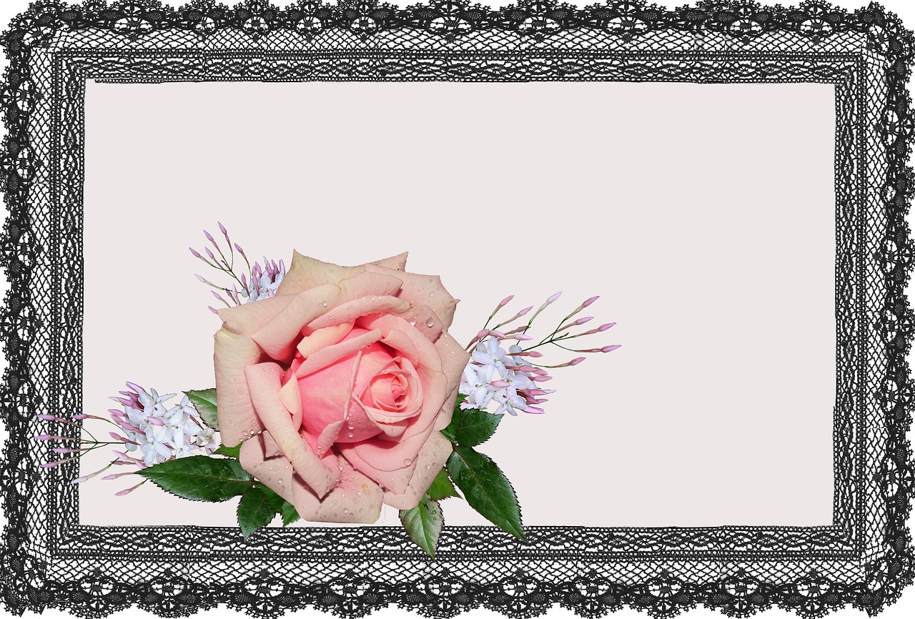 greeting card pink rose jasmine free photo