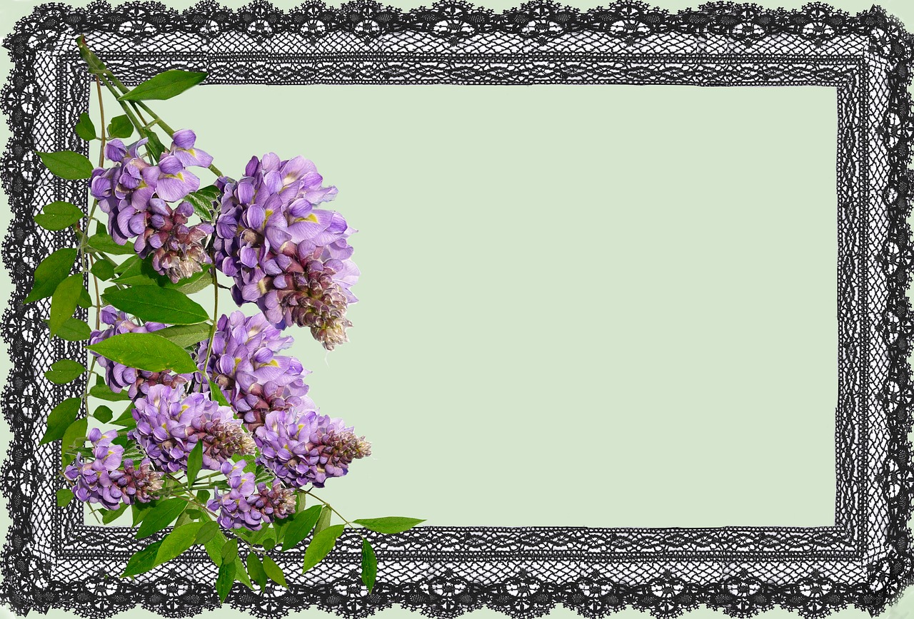 greeting card wisteria design free photo