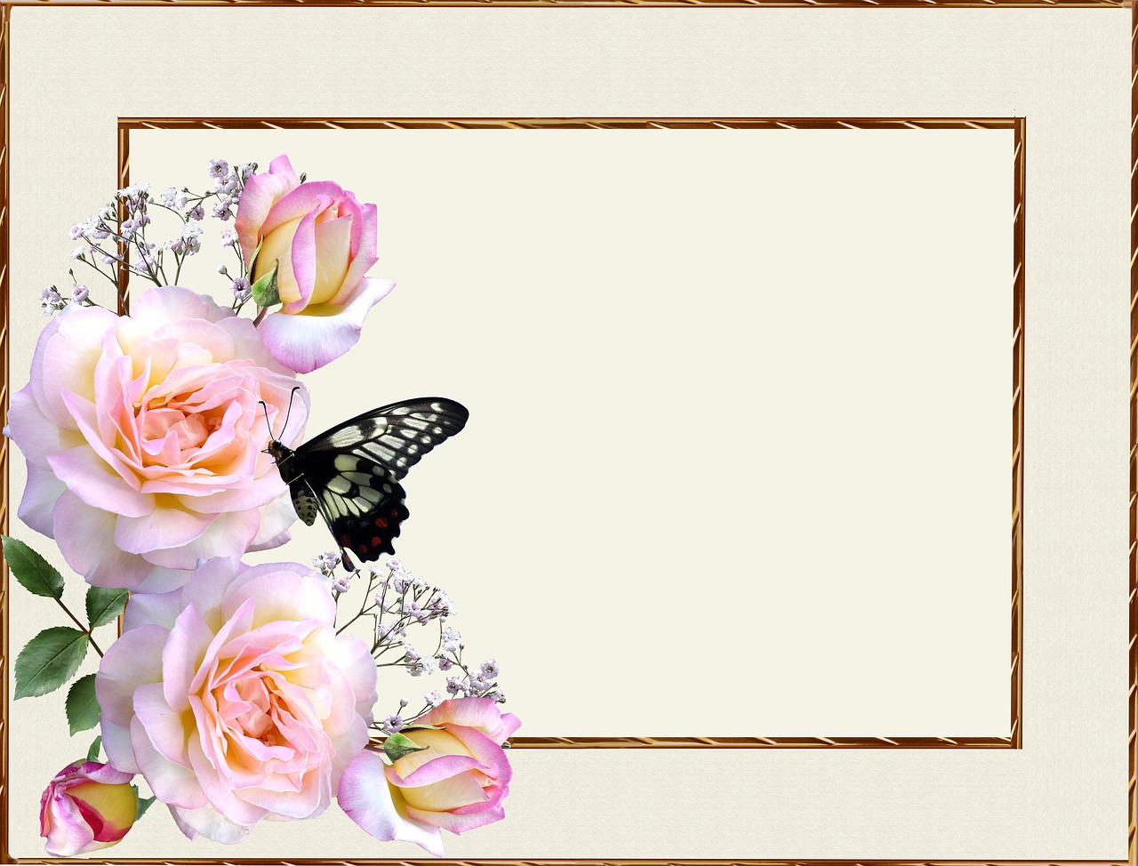 greeting card pink roses butterfly free photo
