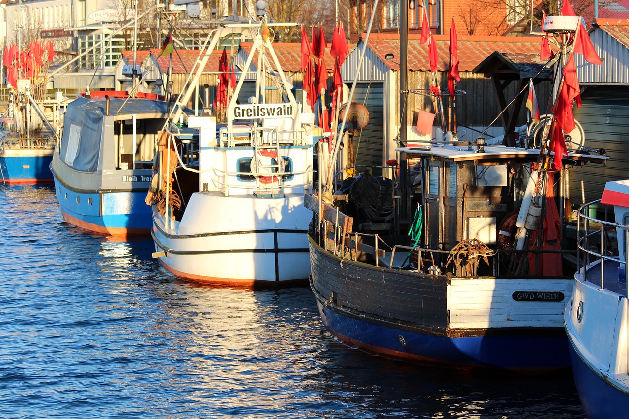 greifswald  wieck  port free photo