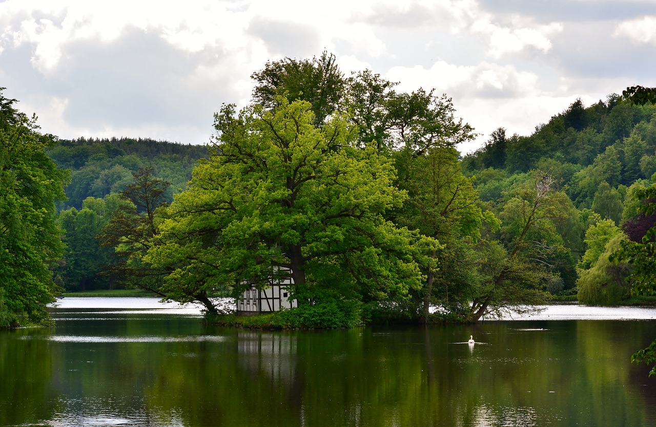 greiz  park lake  swan house free photo