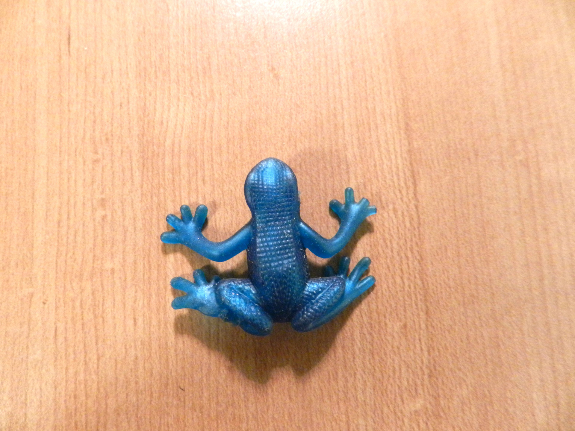 frog wood blue frog free photo