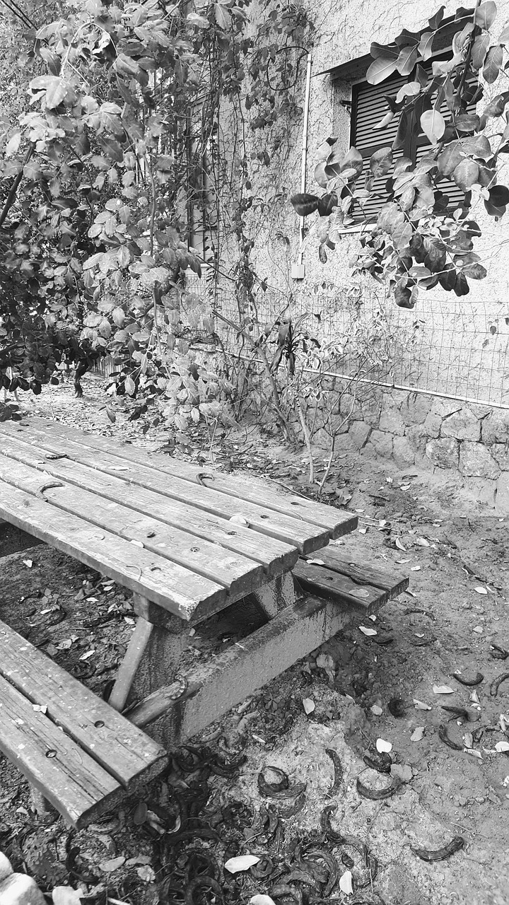 grey bench design free photo