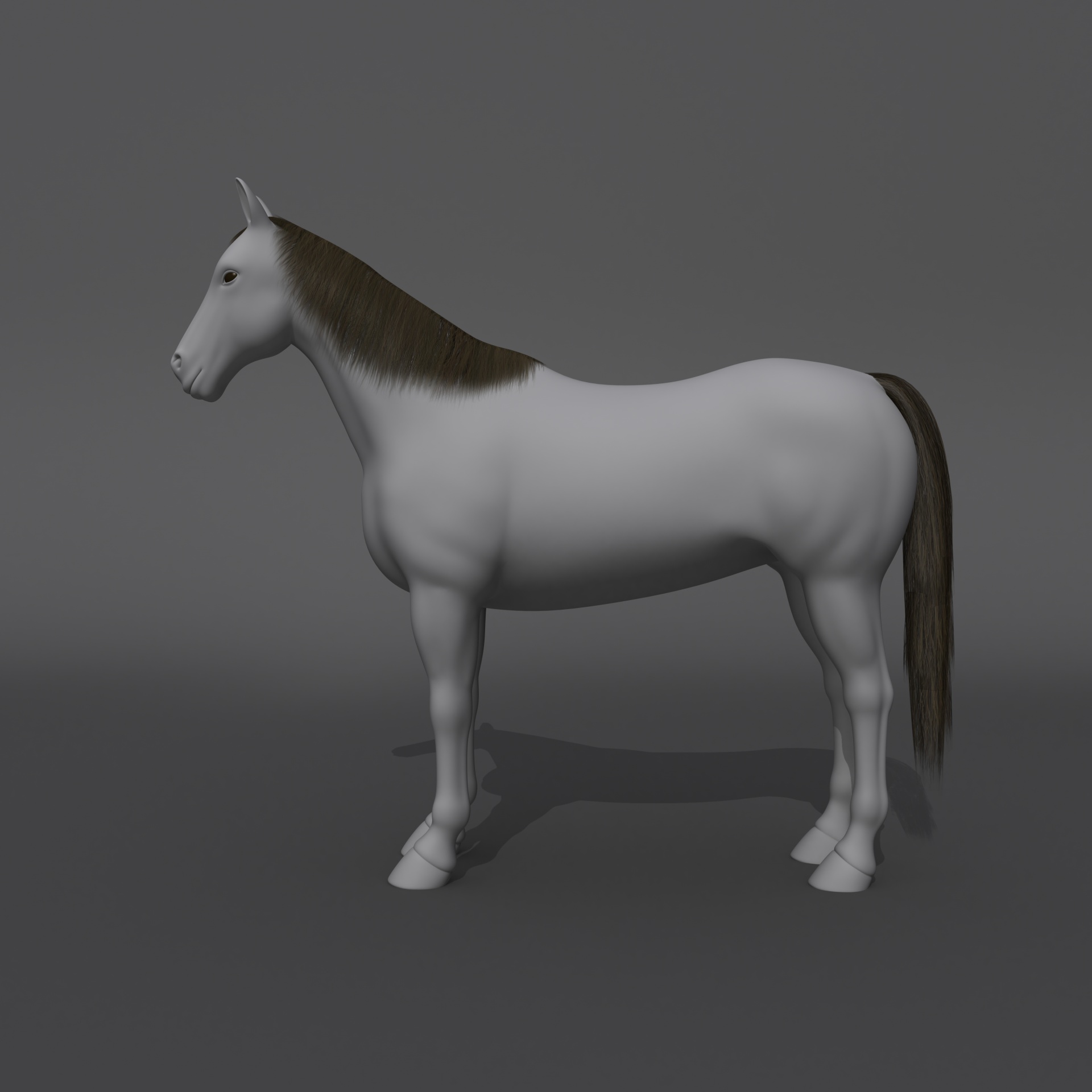 drawing horse 3d free photo