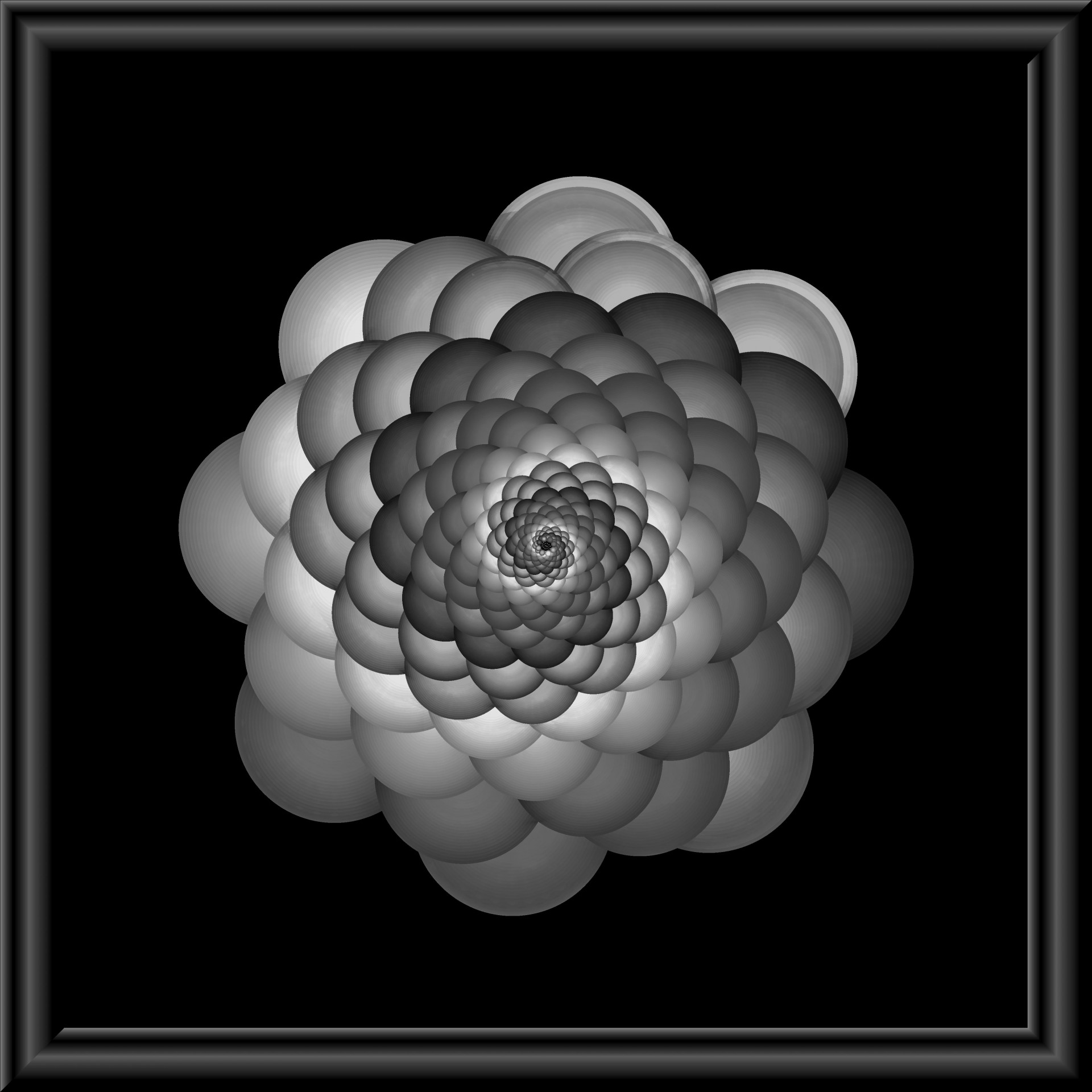 grey spiral flower free photo