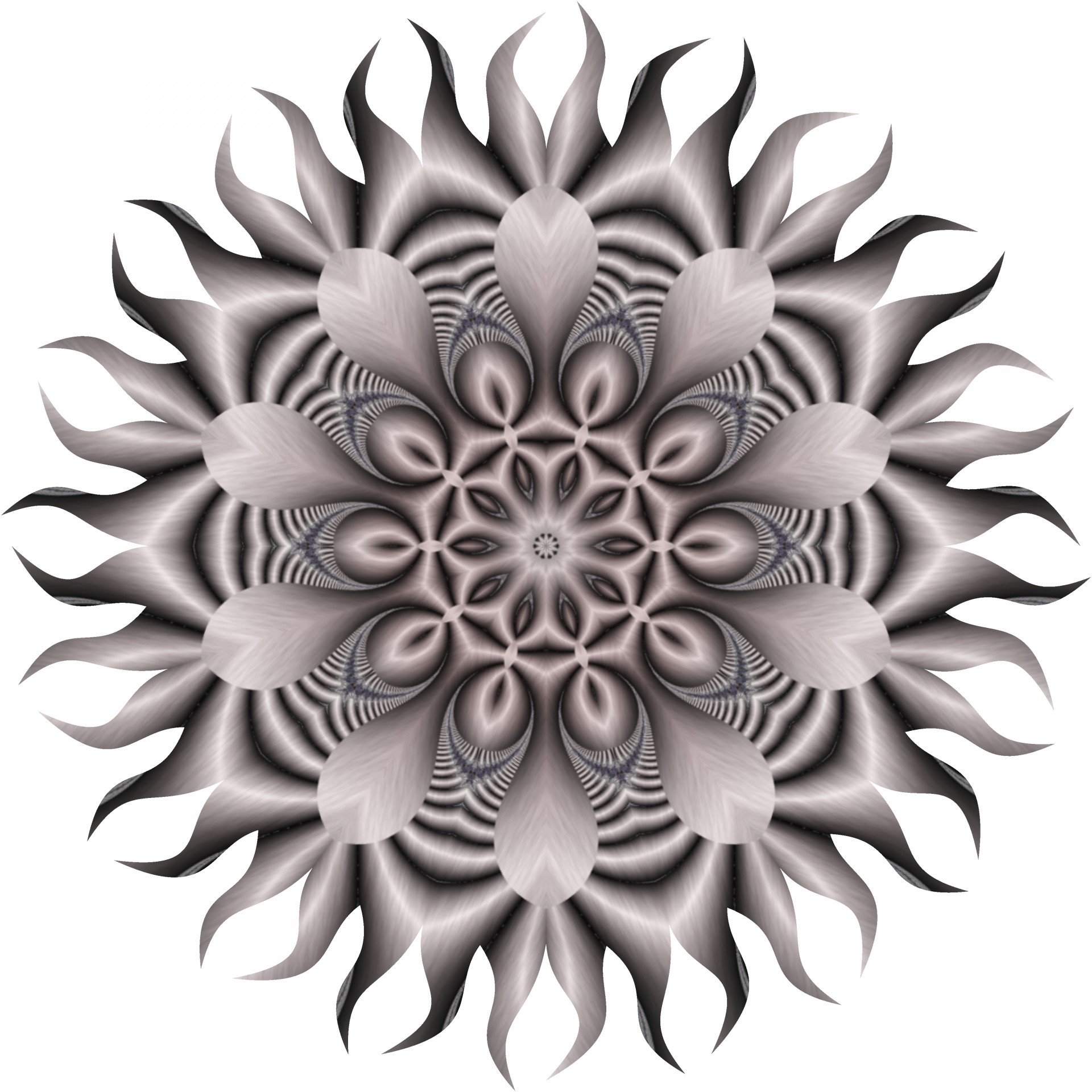 grey sunflower kaleidoscope free photo