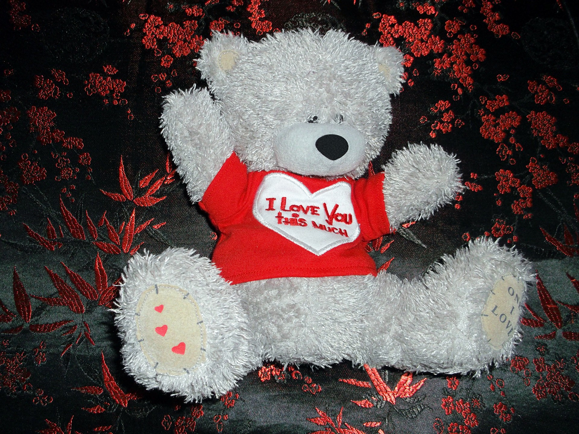 teddy bear bear grey free photo