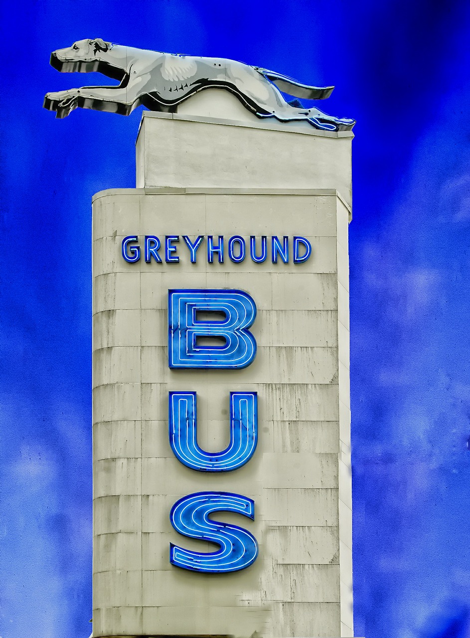 greyhound bus terminal station free photo