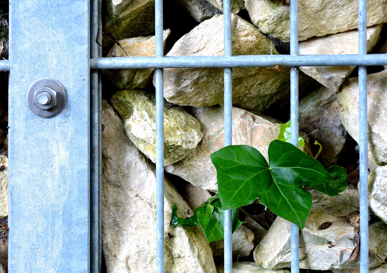 grid stones leaf free photo