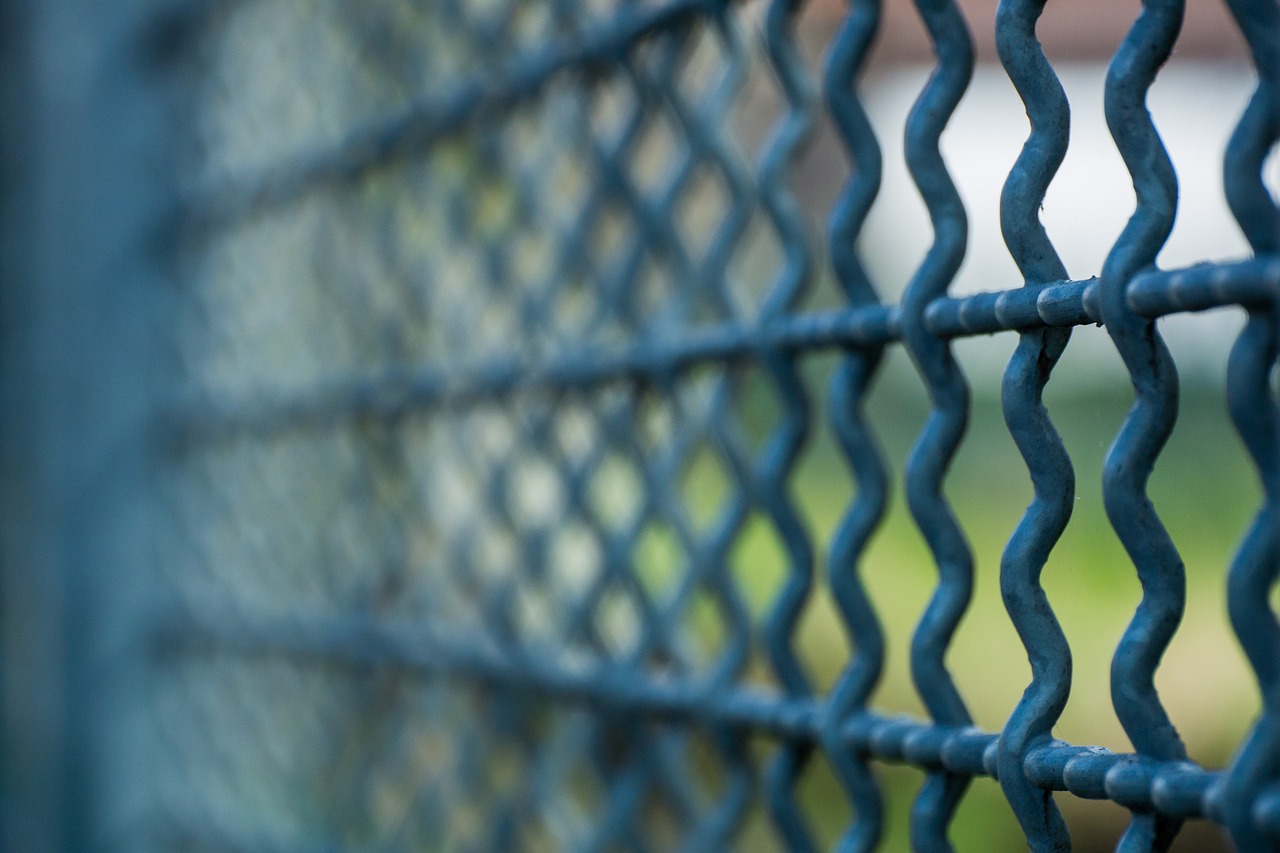 grid fence imprisoned free photo