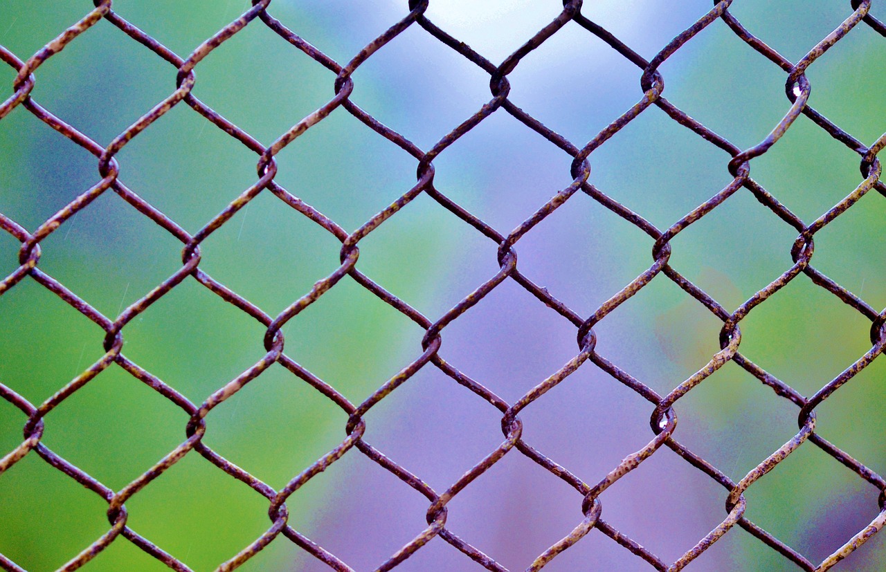 grid color structure free photo