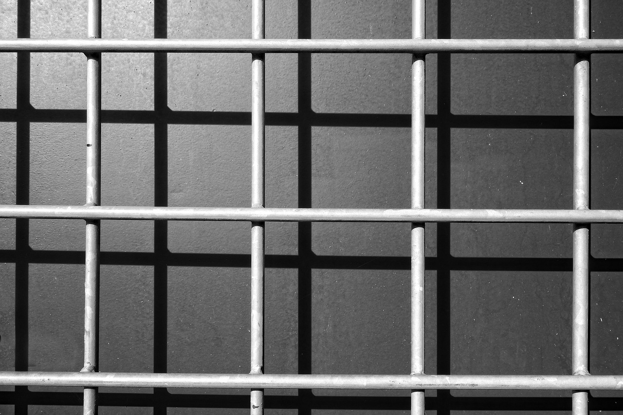 grid bars barrier free photo
