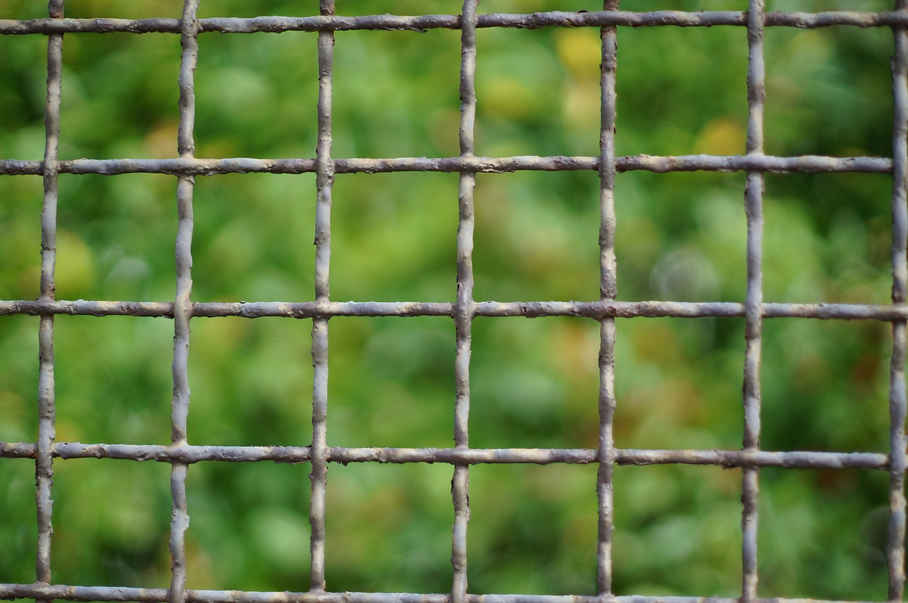 grid fence iron free photo