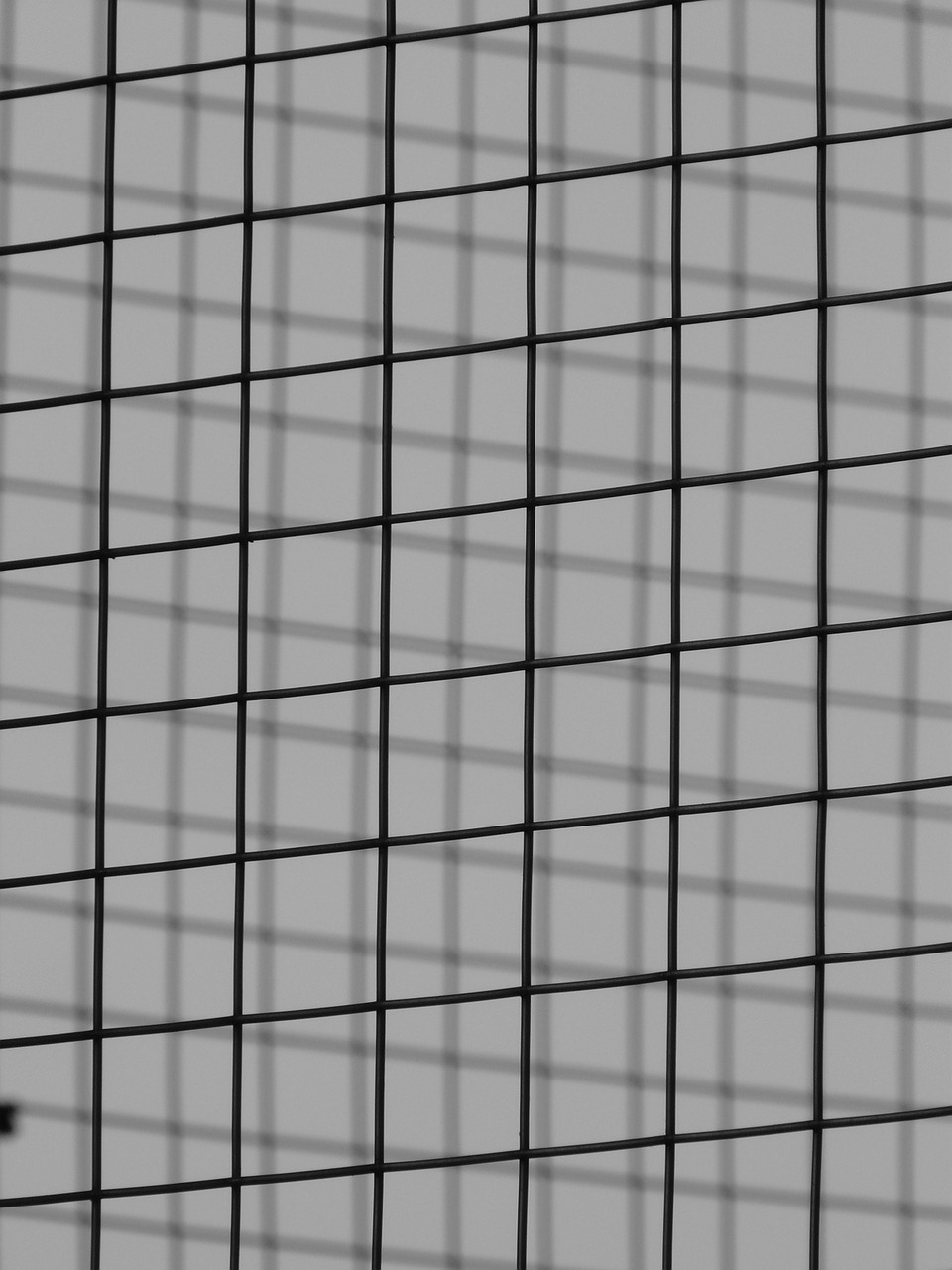 grid steel grid metal free photo
