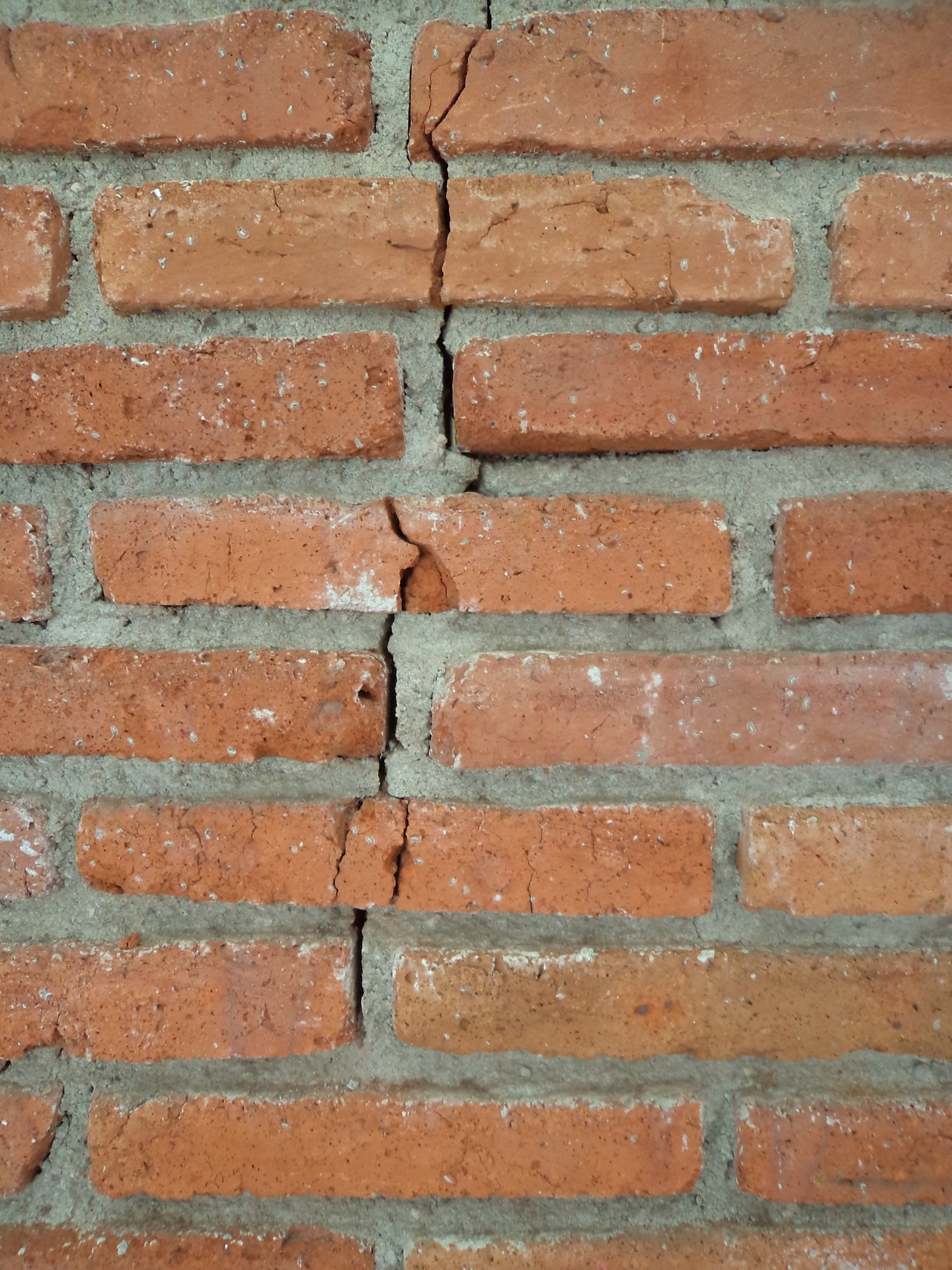 wall crack brick free photo