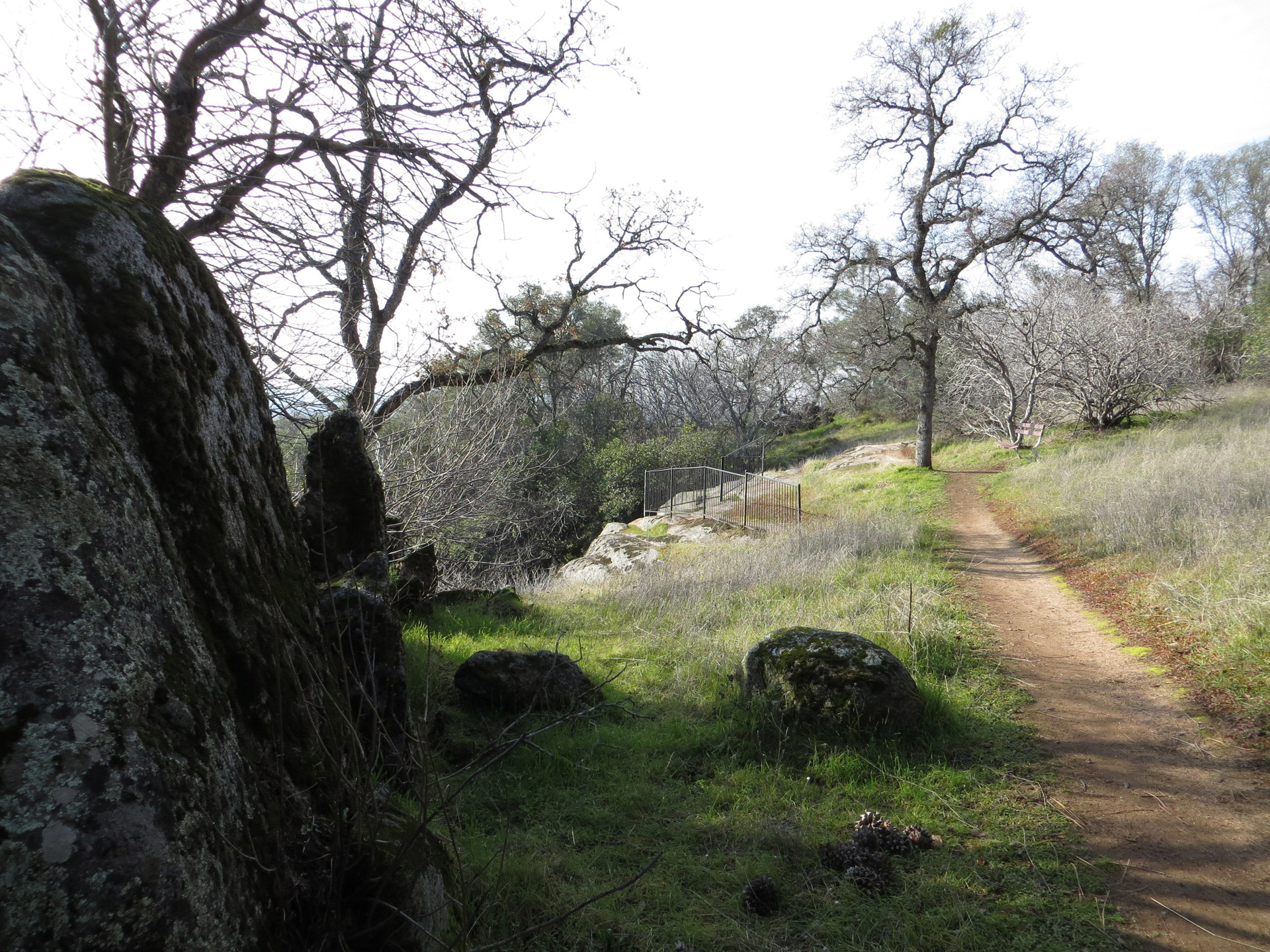 trail landscape path free photo