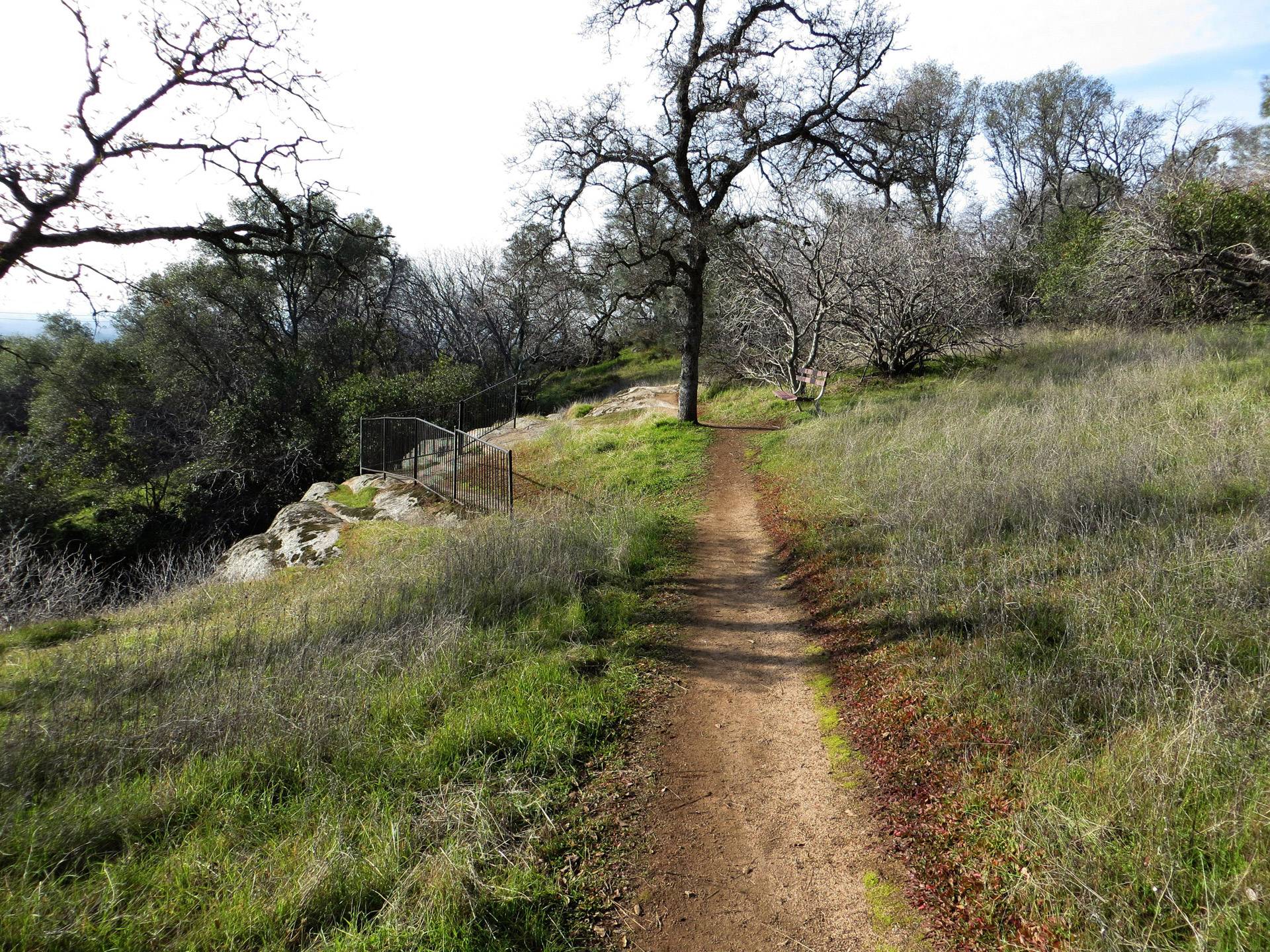 trail path park free photo