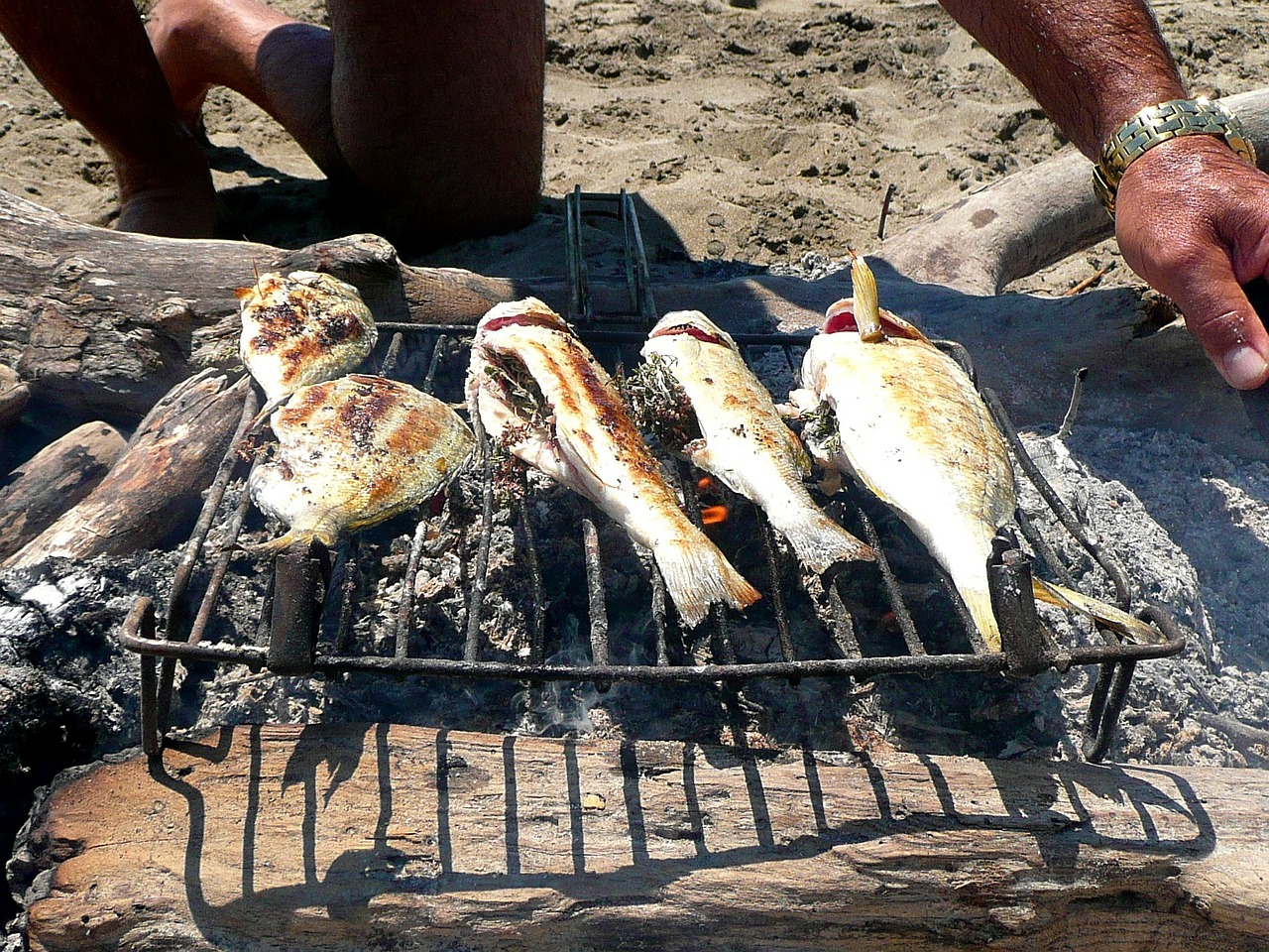 grill fish fishing free photo