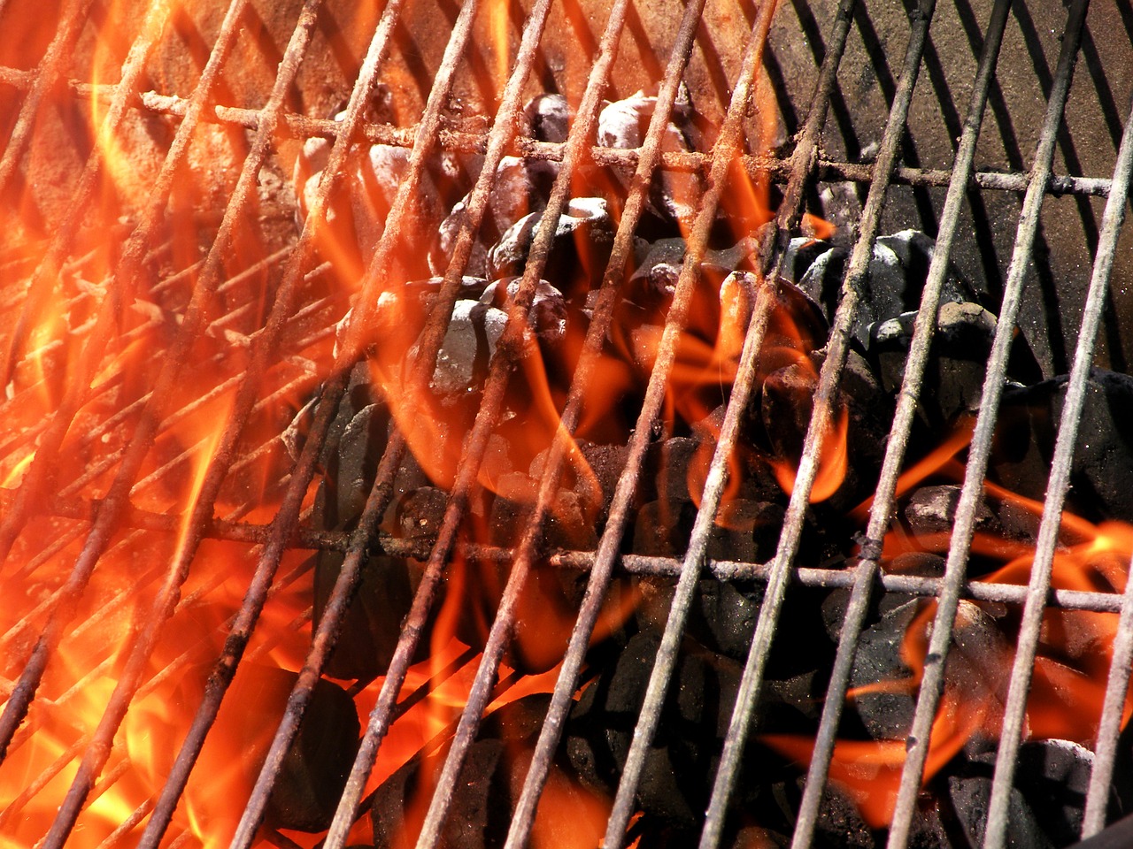 grill fire coals free photo