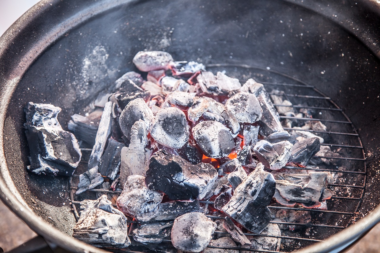 grill charcoal on grilling free photo