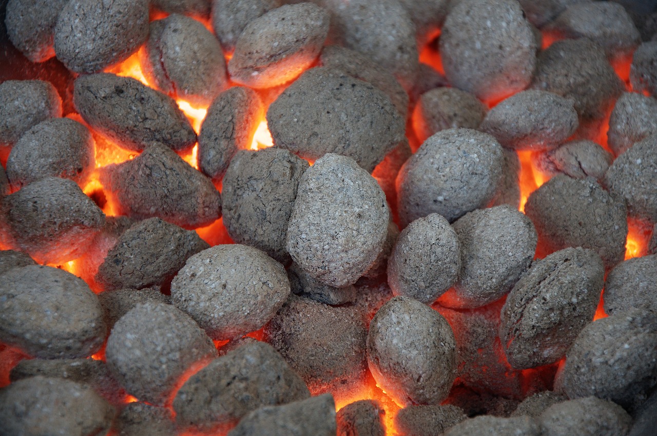 grill briquettes barbecue free photo