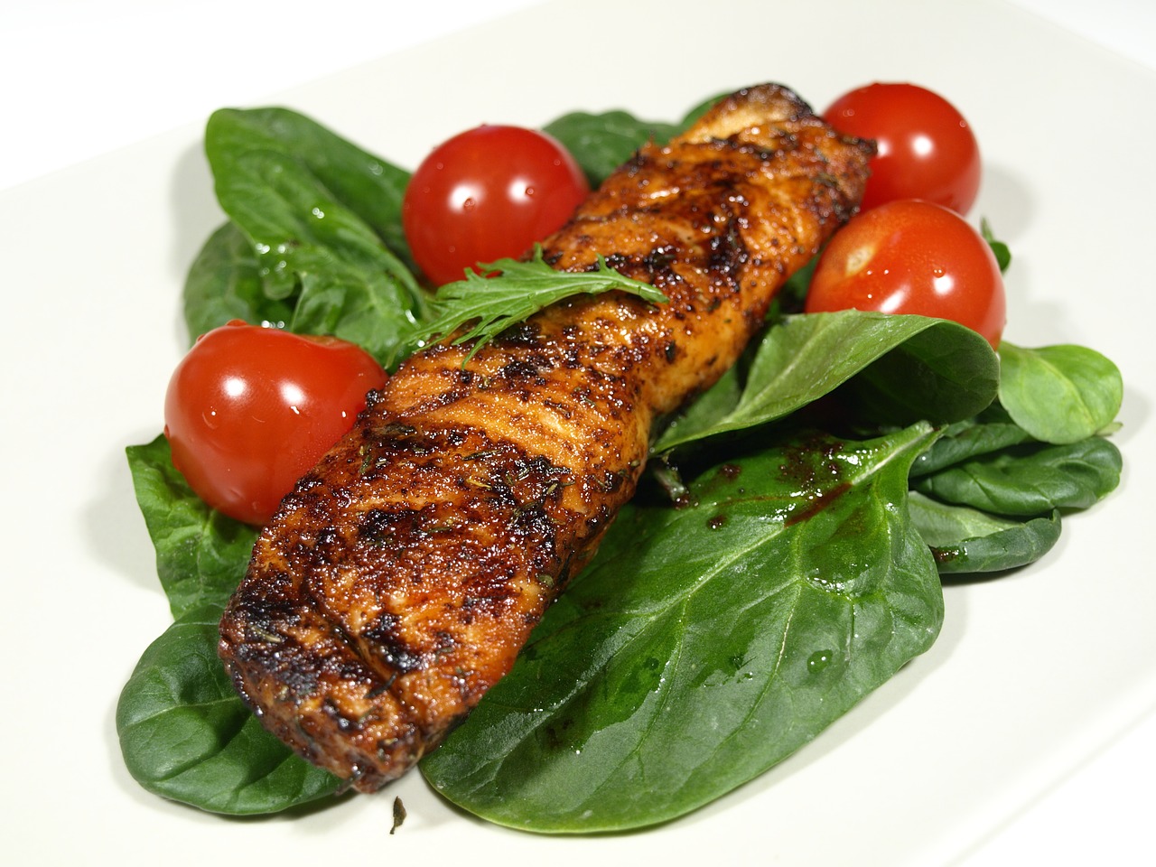grilled  salmon  grill free photo