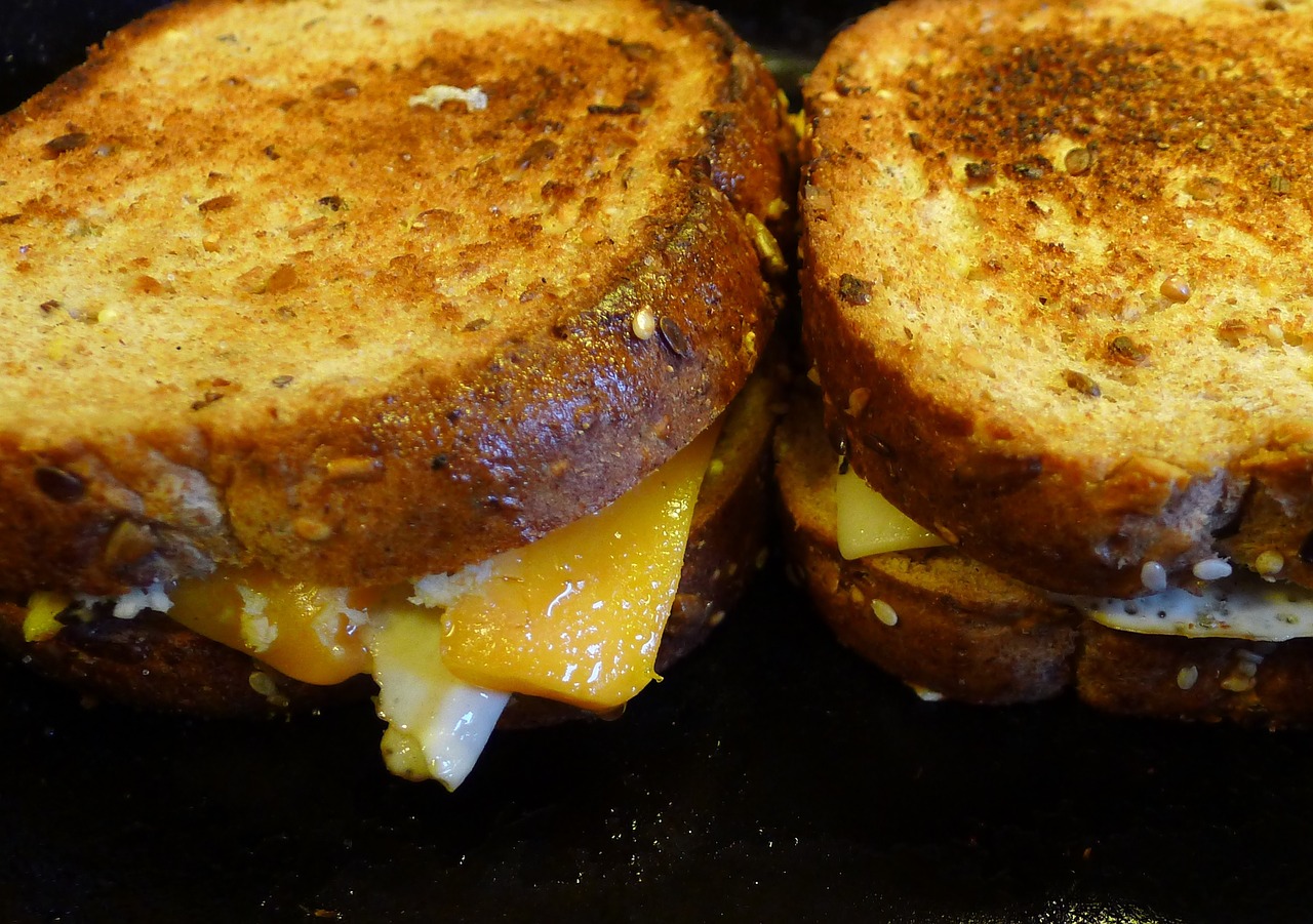 grilled cheese sandwich cheese free photo