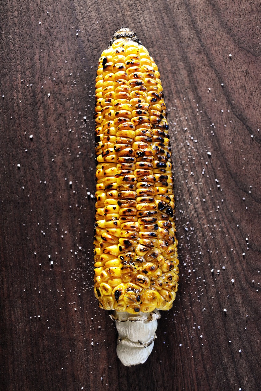 grilled corn corn summer free photo