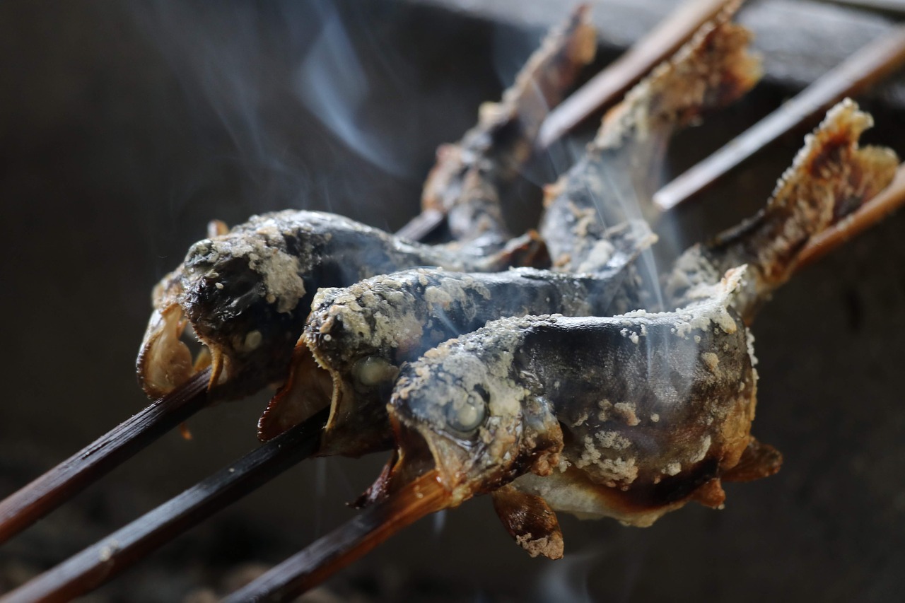 grilled fish  camping  fish free photo