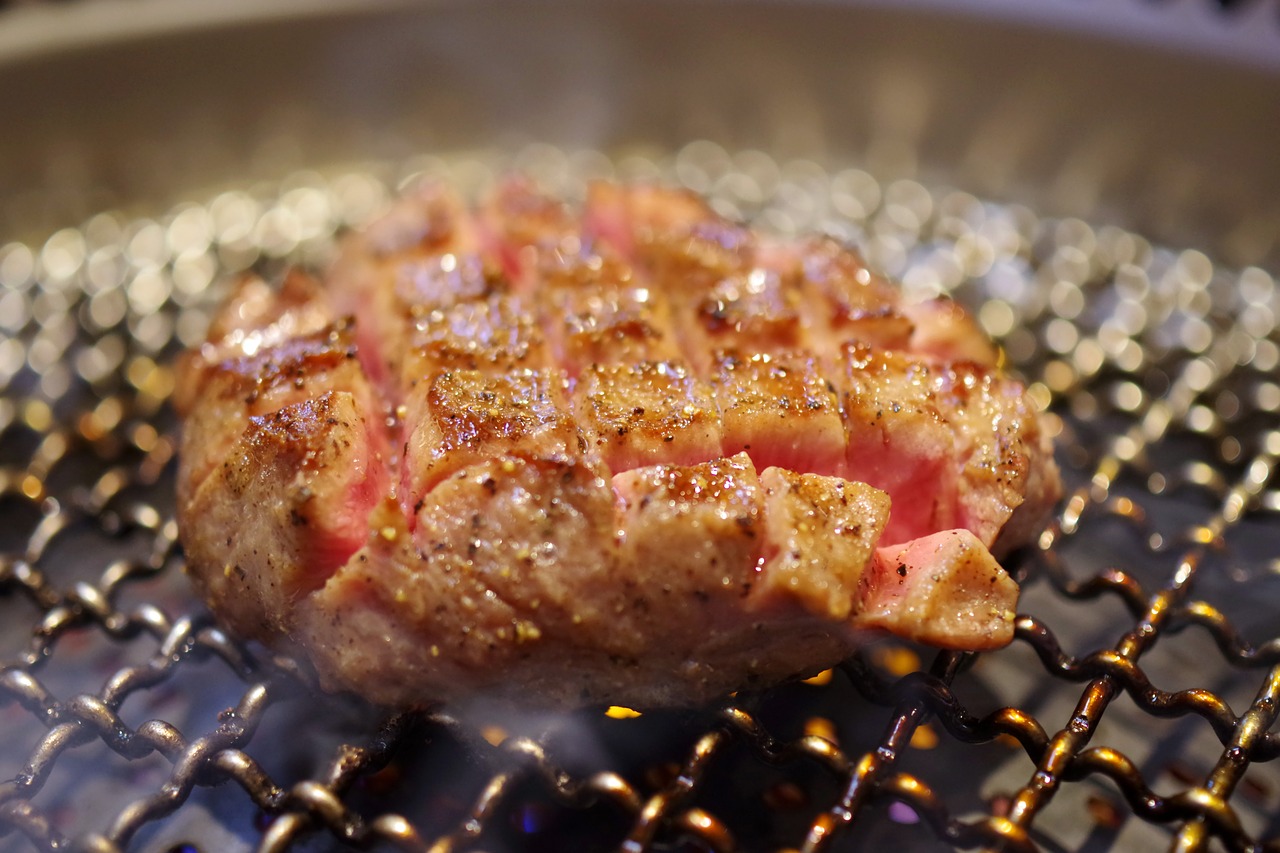 grilled meat  meat  beef tongue free photo