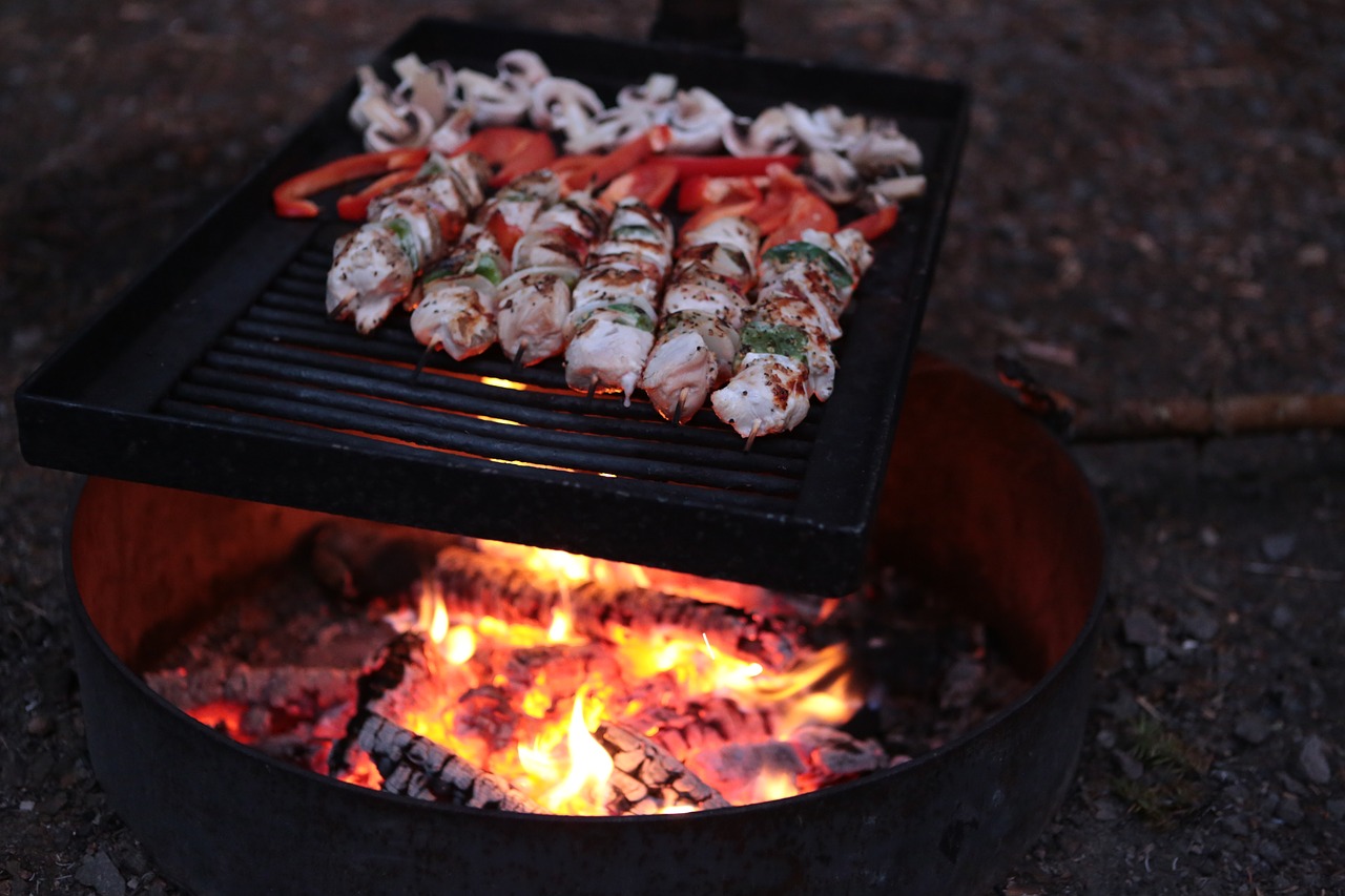 grilling  fire  eat free photo