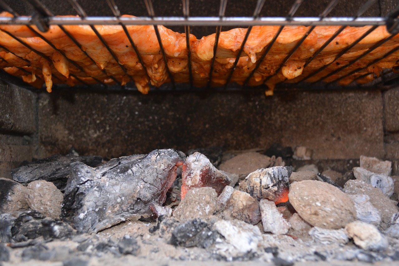 grilling chicken power supply free photo