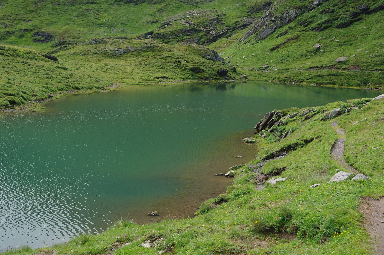 grindelwald switzerland mountain free photo