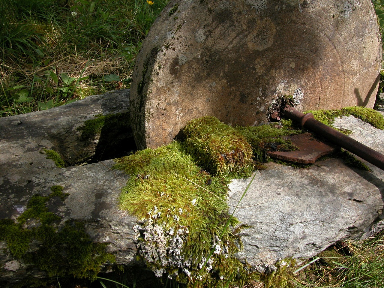 grinding stone stone moss free photo