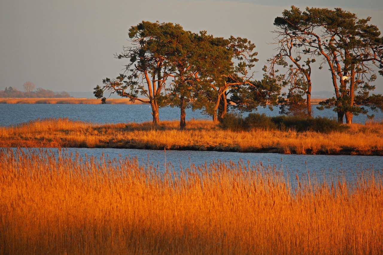 gristow  nature reserve  landscape free photo