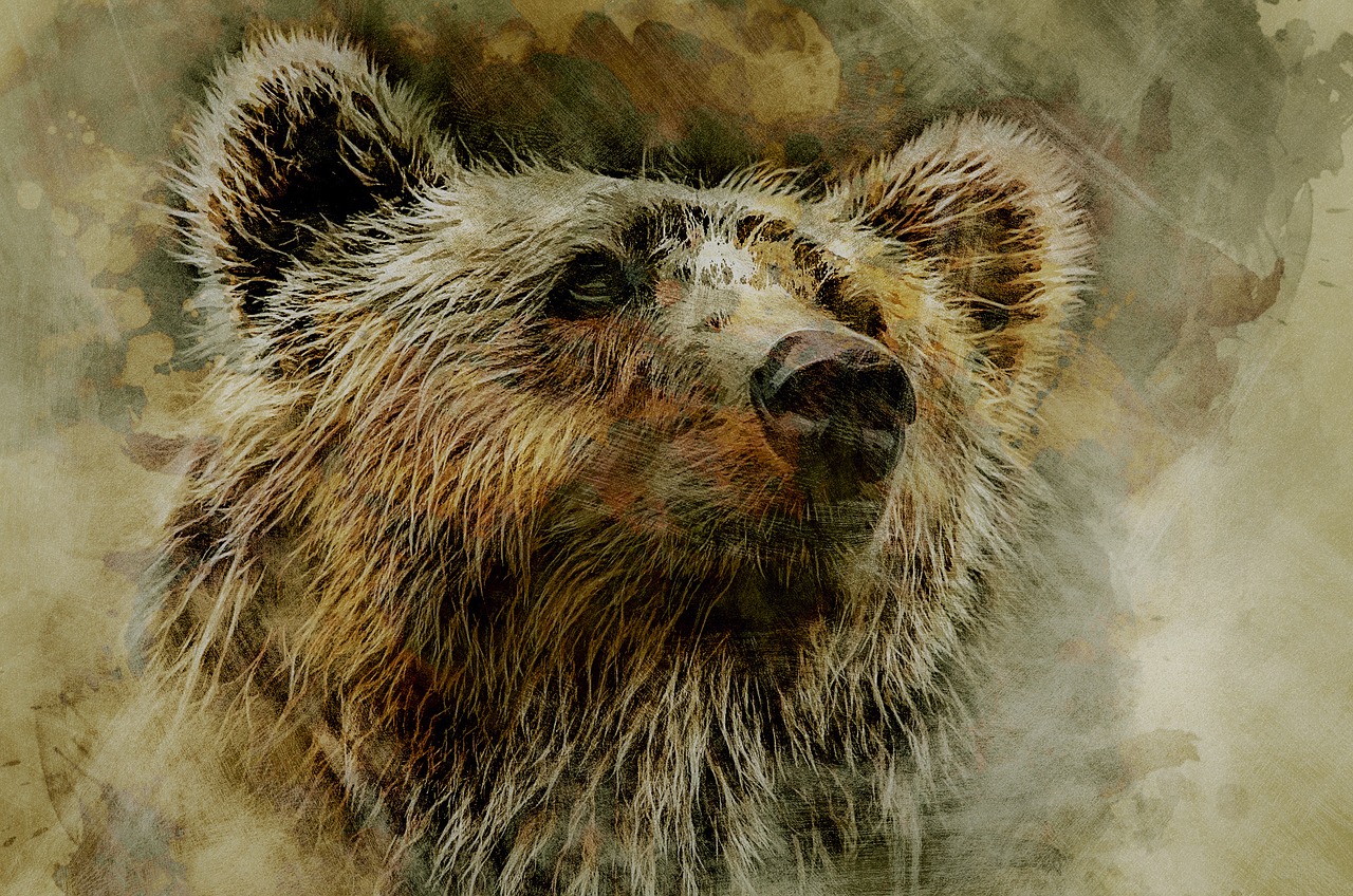grizzly bear kodiak free photo