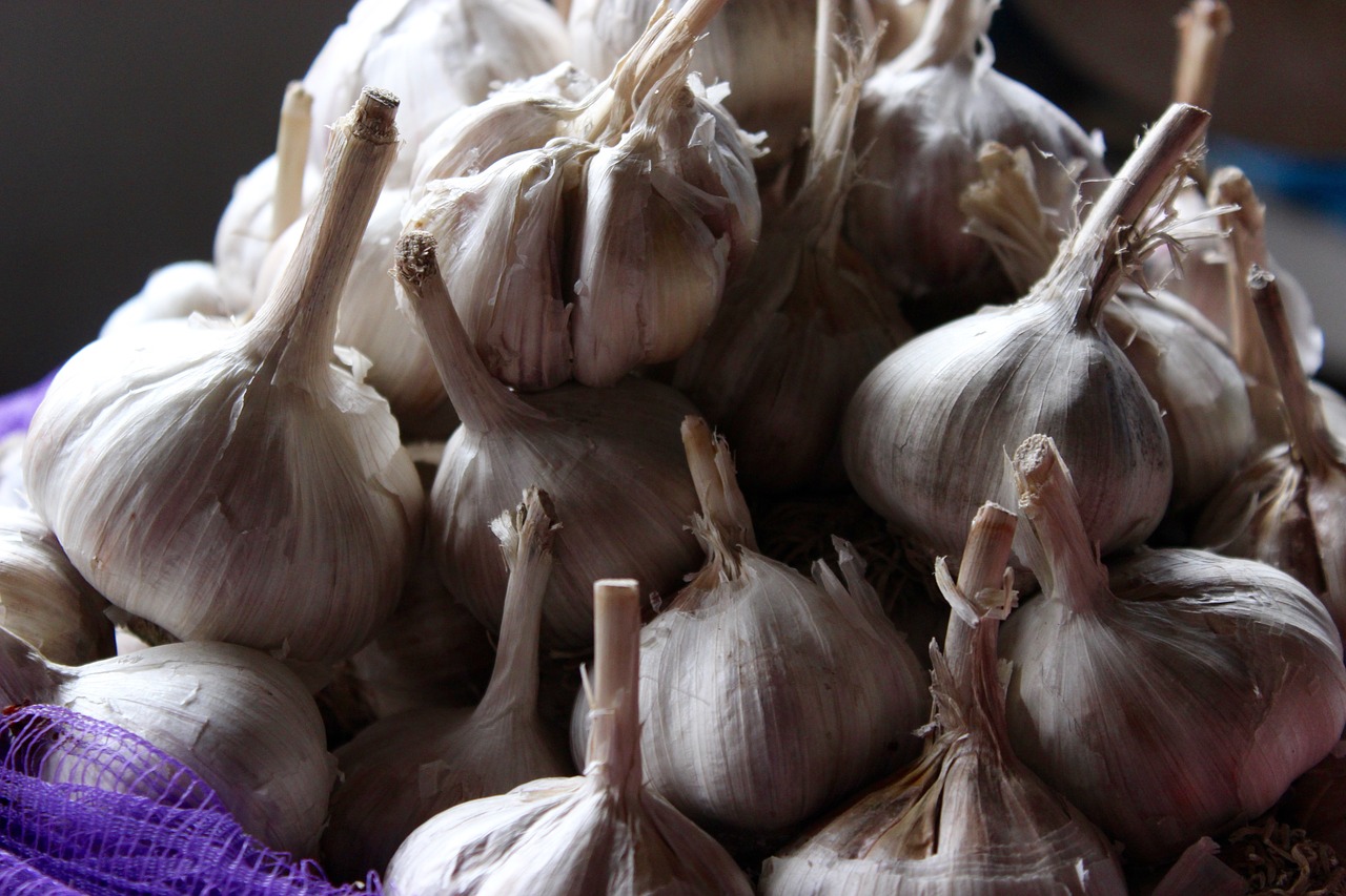 grocery store garlic market free photo