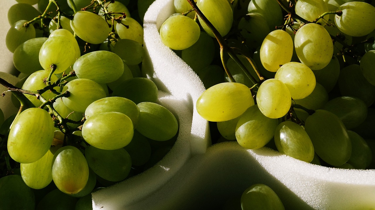 grocery store business grapes free photo