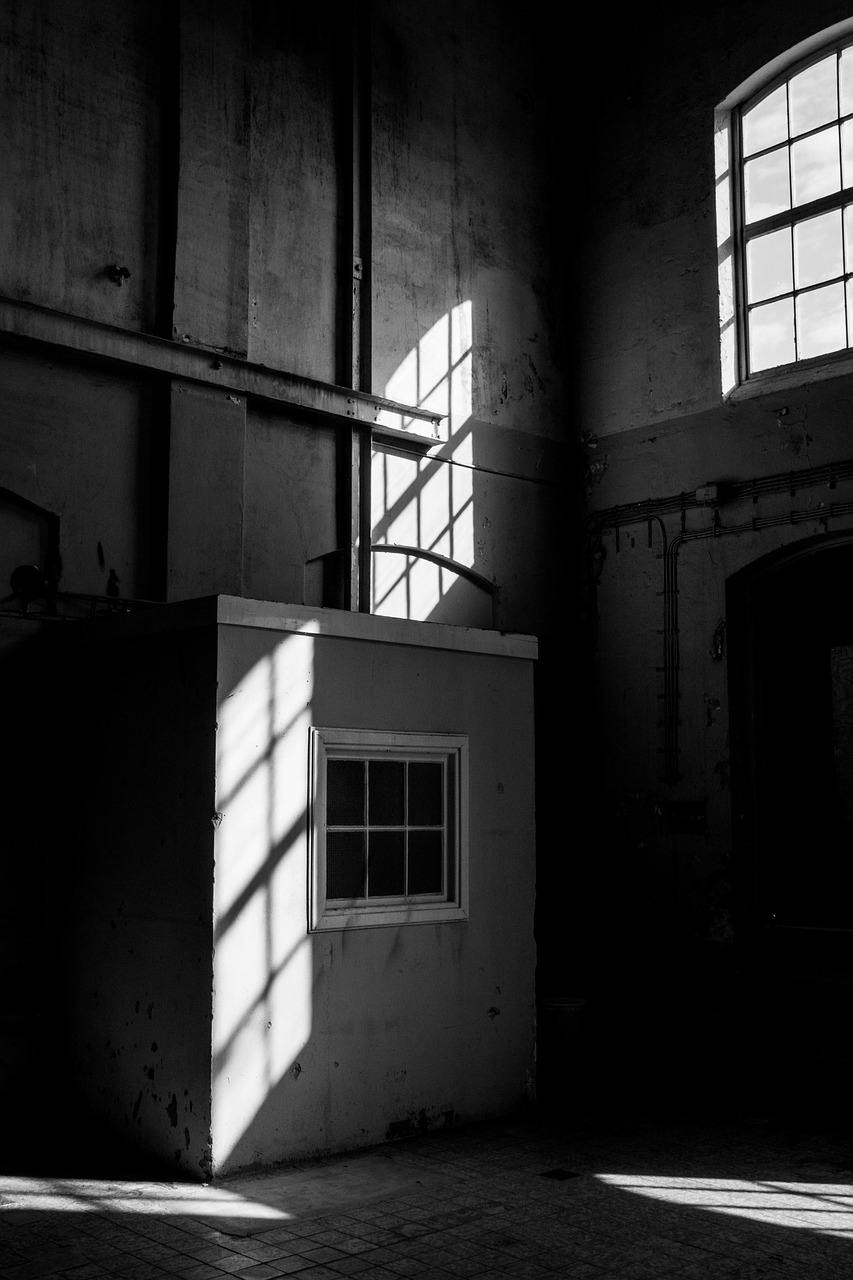 groningen shadow black white free photo