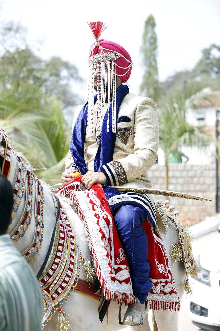 groom  punjabi  horse free photo