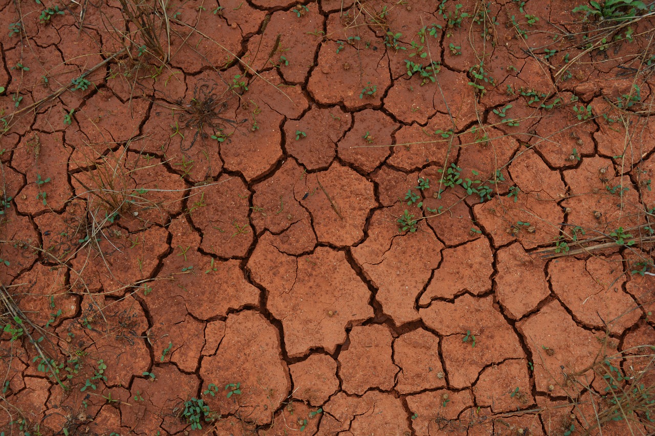 ground drought dry free photo