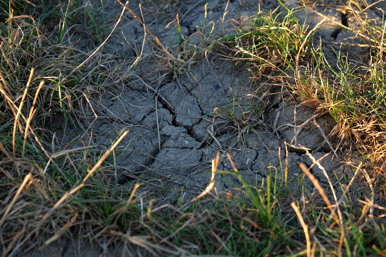 ground cracks drought free photo