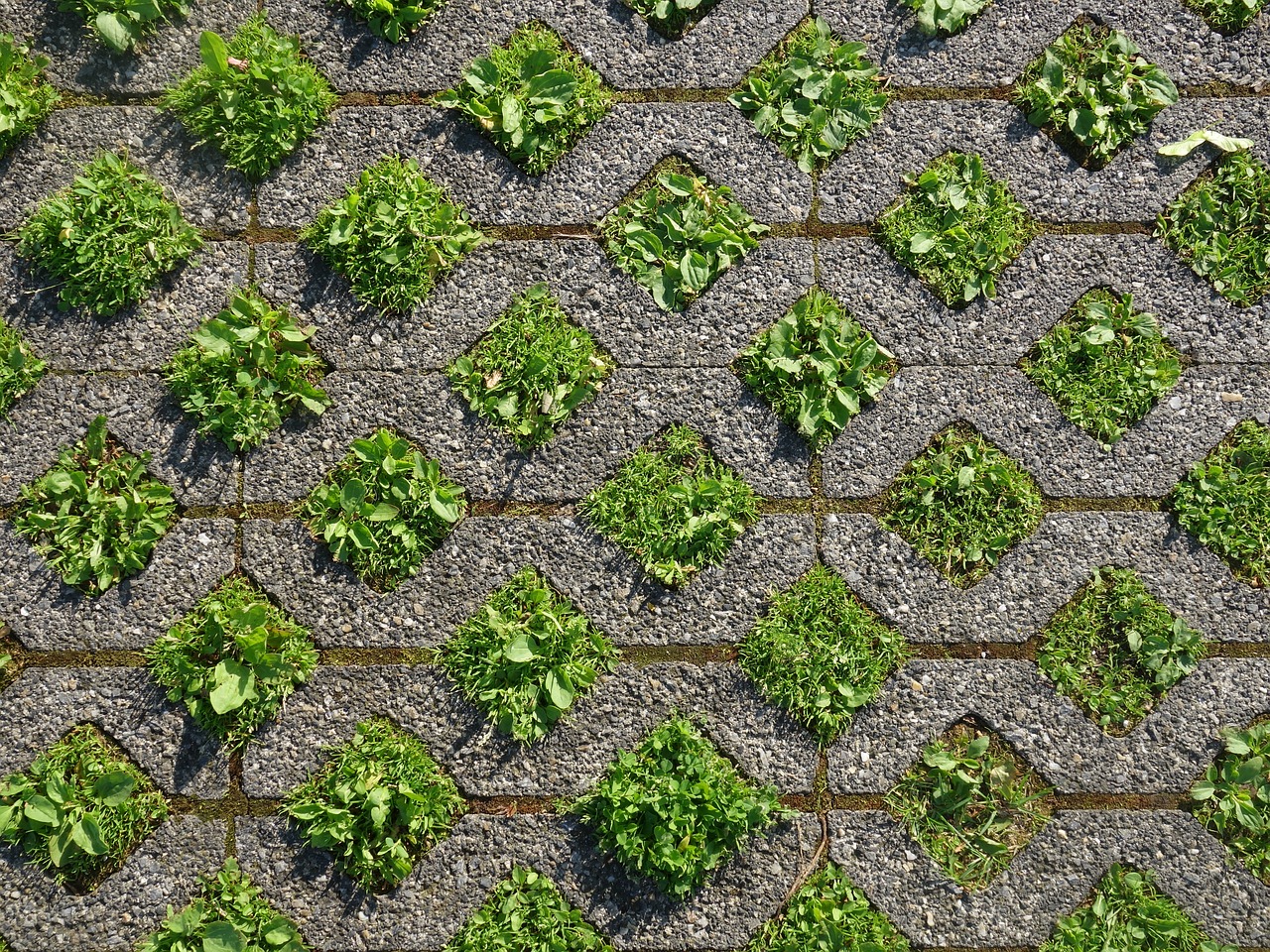 ground squares grass free photo