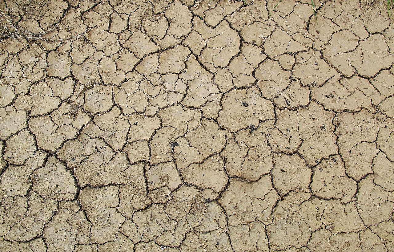 ground earth dehydrated free photo