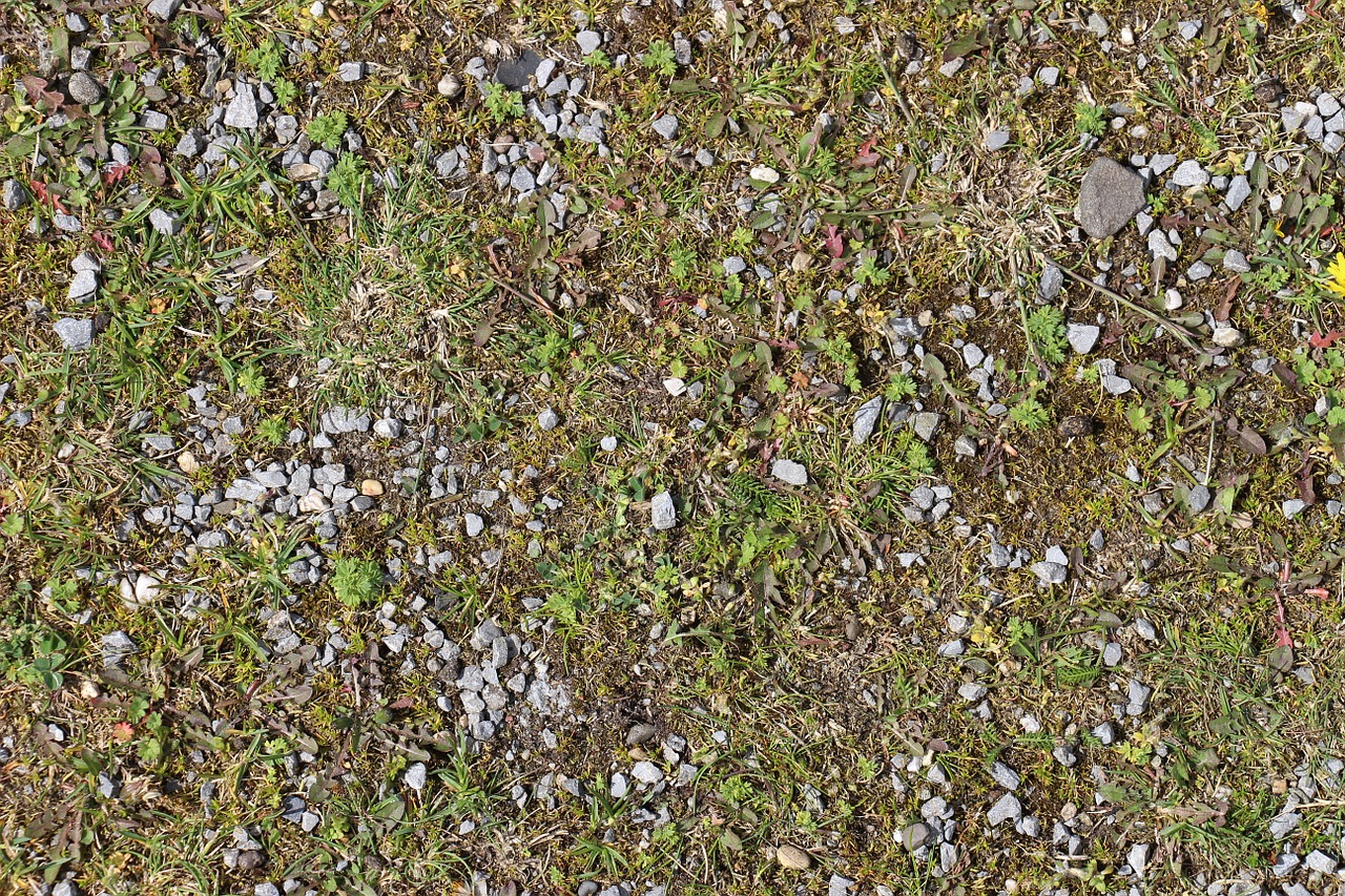 ground stones grass free photo