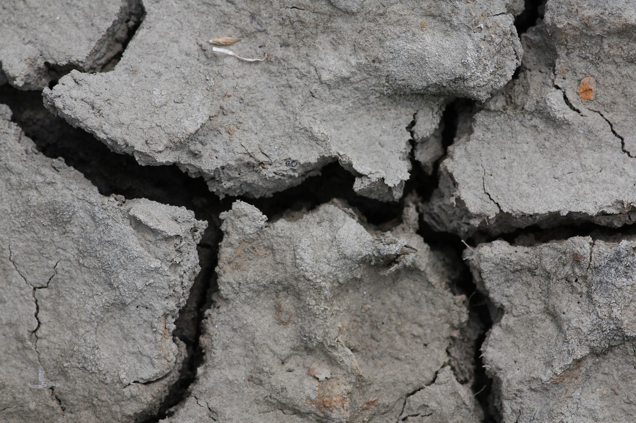 ground  dry  stranded tramples over free photo