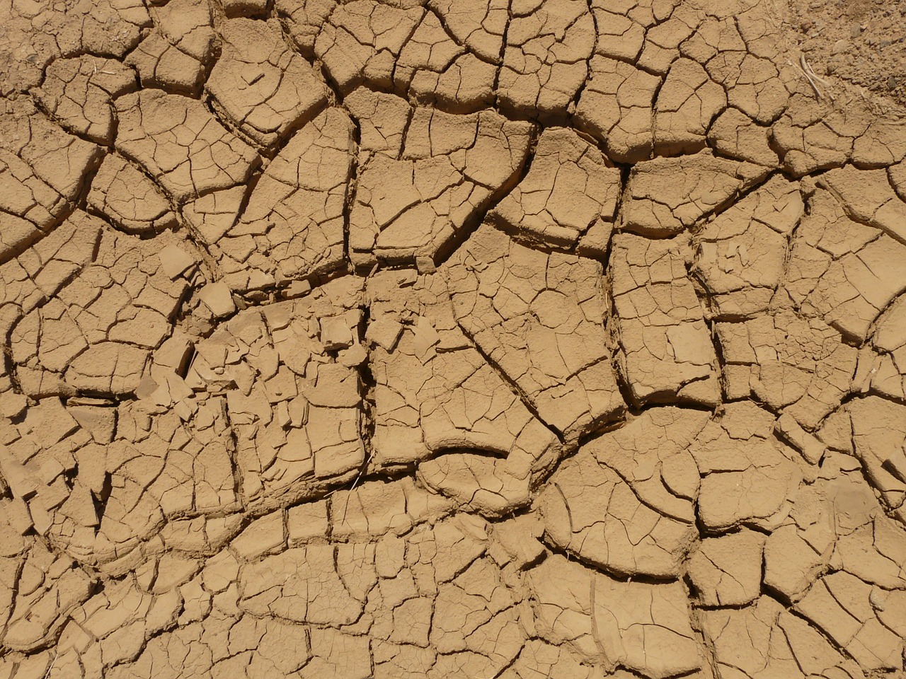 ground dry parched free photo