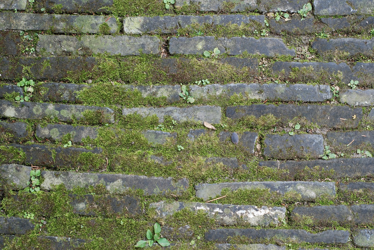 ground brick moss free photo